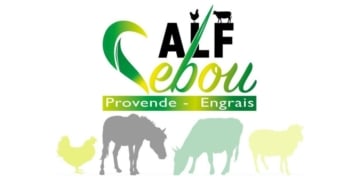 Offre Exclusive: Alf Sebou recrute des pilotes professionnels à Kenitra et El Jadida - postuler maintenant